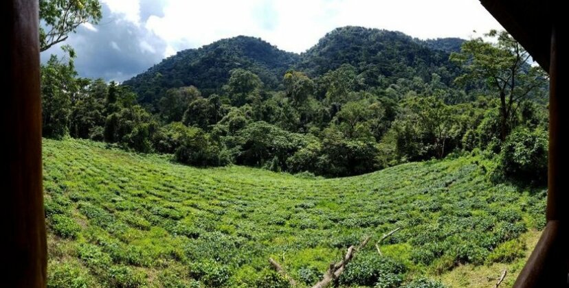 Bwindi Guest House - Photo4
