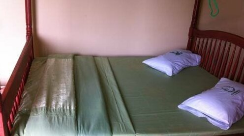 Ecomarvels Gorilla Resort - Photo3