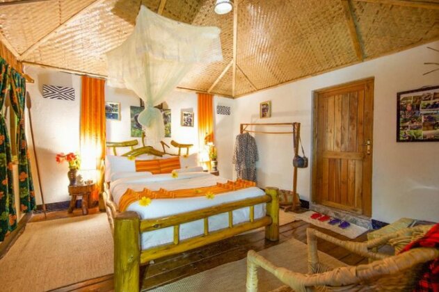 Gorilla Closeup Lodge - Photo2