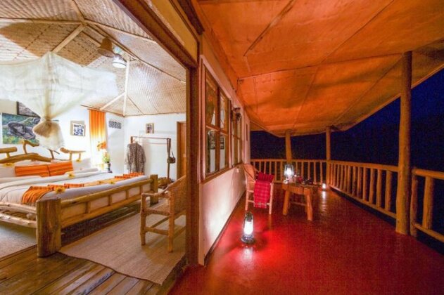 Gorilla Closeup Lodge - Photo4
