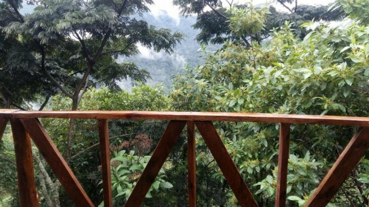 Gorilla Closeup Lodge - Photo5