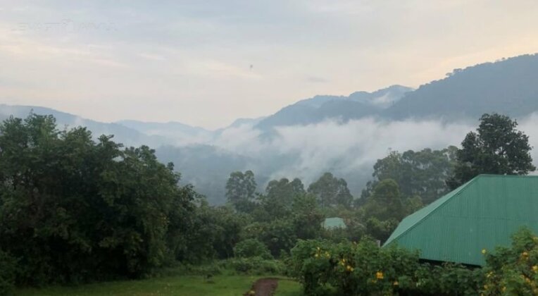 Gorilla Conservation Camp - Photo2