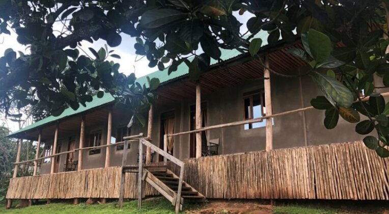 Gorilla Conservation Camp - Photo4
