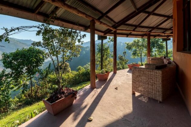 Gorilla Valley Lodge - Photo4
