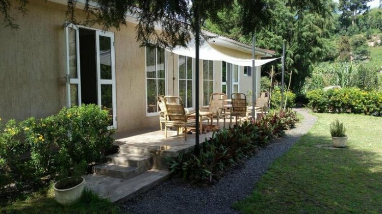 Mucha Lodges
