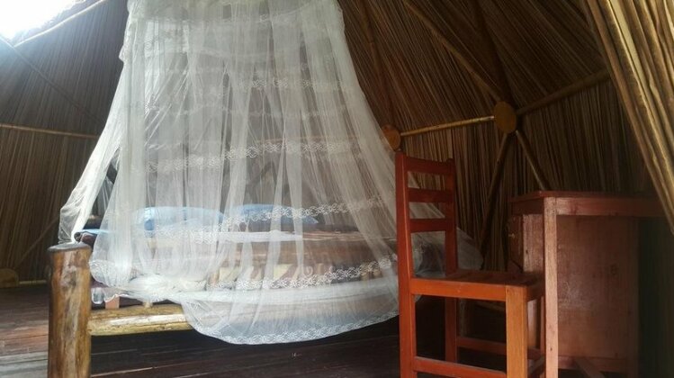 Paradise Eco-Hub - Photo4