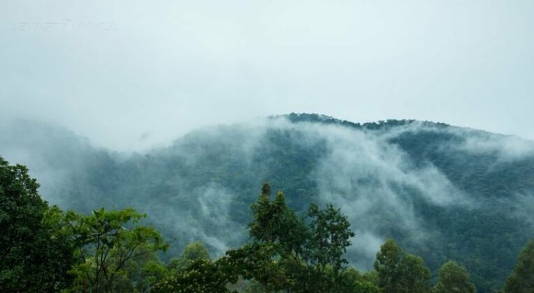 Silverback Lodge - Photo2