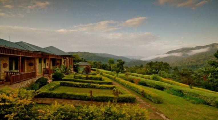 Silverback Lodge - Photo3