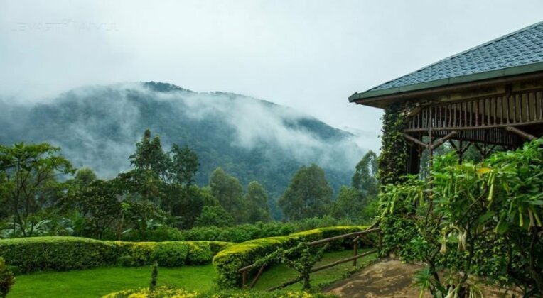 Silverback Lodge - Photo4