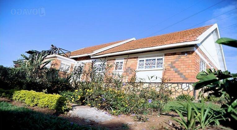 882 Terrace Bed And Breakfast - Photo2