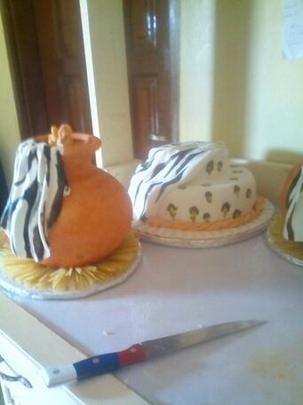  Photo 3