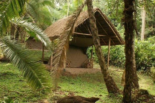 Kibale Forest Camp Kasese - Photo3