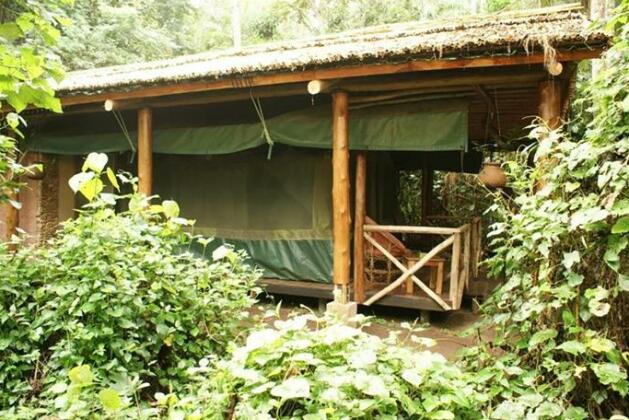 Kibale Forest Camp Kasese - Photo5