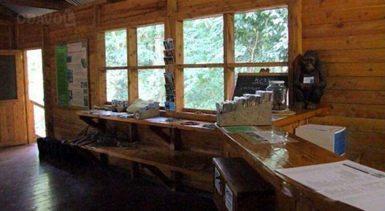 Budongo Eco Lodge - Photo4