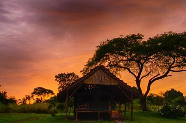 Bwana Tembo Safari Camp