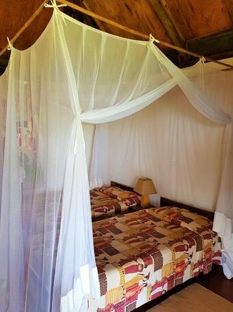 Bwana Tembo Safari Camp - Photo4