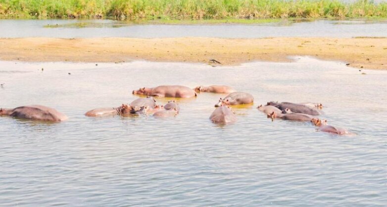 Sambiya River Lodge - Photo5