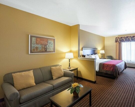 Comfort Inn & Suites Regional Medical Center - Photo2