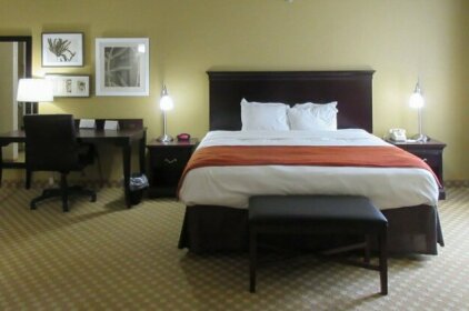 Quality Inn & Suites Alexandria