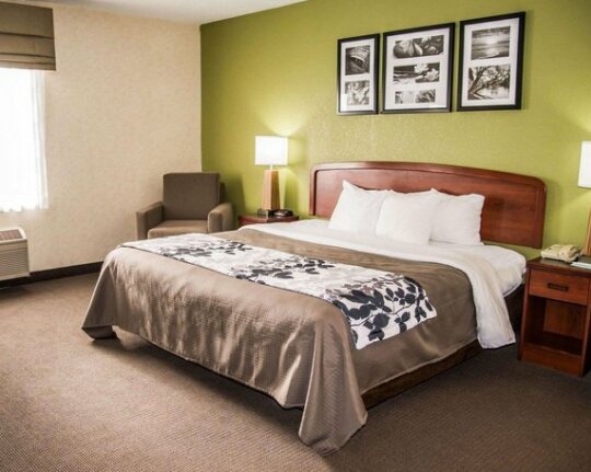Sleep Inn & Suites Allendale Allendale - Photo3