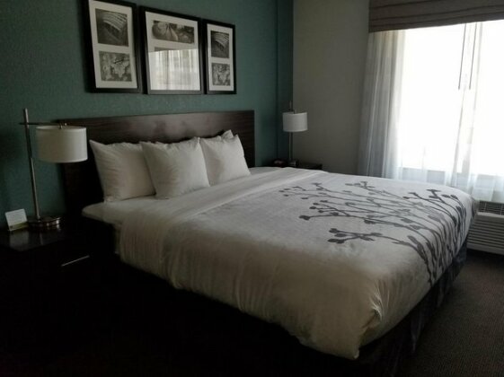 Sleep Inn & Suites Ames near ISU Campus - Photo4