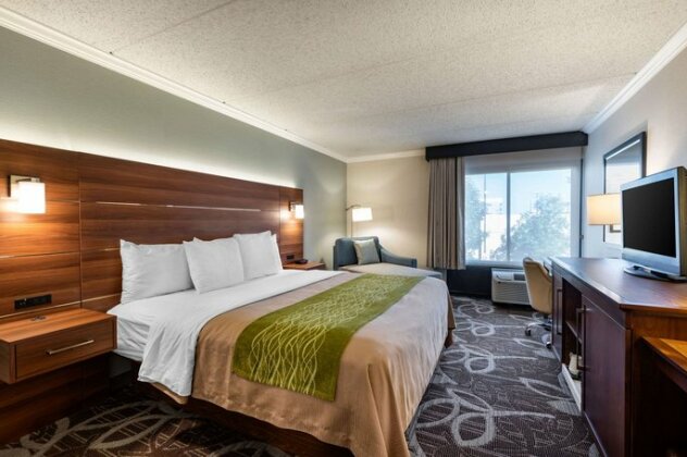 Comfort Inn & Suites Anaheim - Photo2
