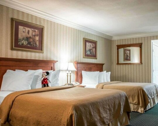Quality Inn & Suites Anaheim Maingate - Photo2