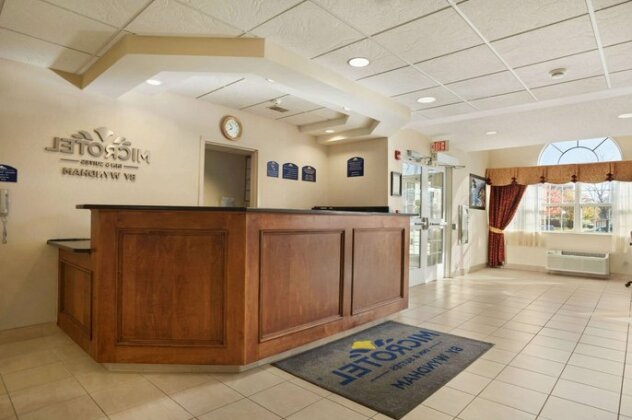 Microtel Inn & Suites by Wyndham Ann Arbor - Photo3