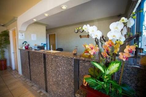 Aloha Inn - Photo2