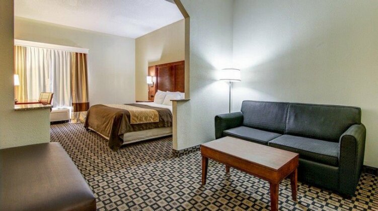 Comfort Inn & Suites Athens - Photo4