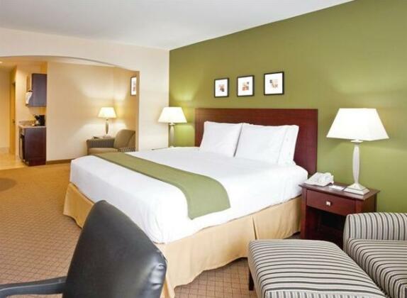 Holiday Inn Express Hotel & Suites Athens Athens