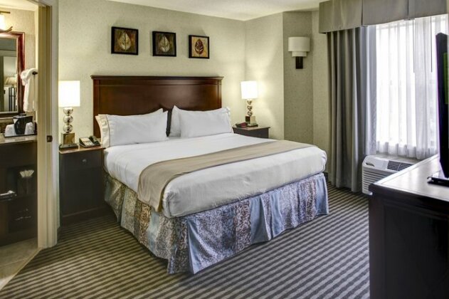 Holiday Inn Express Hotel & Suites Atlanta Buckhead - Photo4