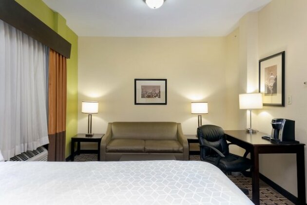 Holiday Inn Express & Suites - Atlanta Downtown - Photo5
