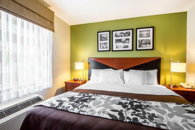 Sleep Inn & Suites Auburn - Photo3