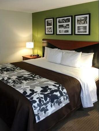 Sleep Inn & Suites Auburn - Photo4