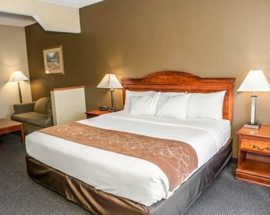 Comfort Suites Auburn - Photo4