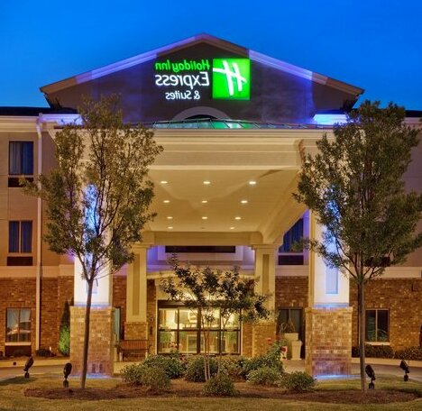 Holiday Inn Express Hotel & Suites Austell Powder Springs - Photo2