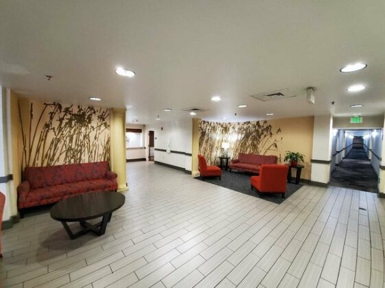 BWI Airport Inn & Suites - Photo4
