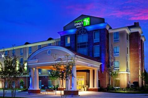 Holiday Inn Express & Suites Baton Rouge East - Photo3
