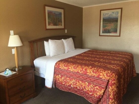 Executive Inn & Suites Beeville - Photo3