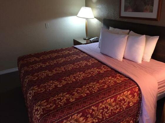 Executive Inn & Suites Beeville - Photo5