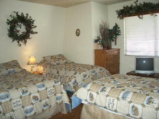 Cub House - Photo4