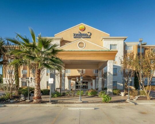 Comfort Inn & Suites Texas Hill Country - Photo3
