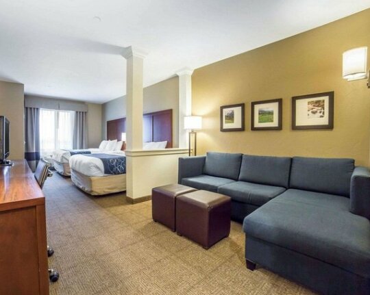 Comfort Suites Bozeman - Photo2