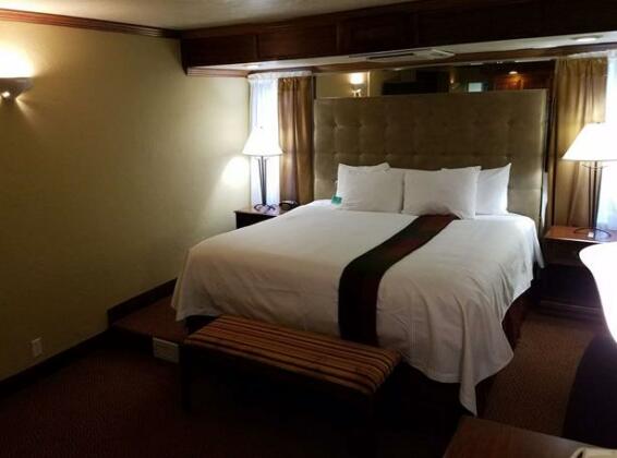 Best Western Branson Inn and Conference Center - Photo3