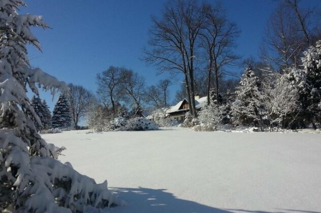 Swiss Woods Bed and Breakfast - Photo2