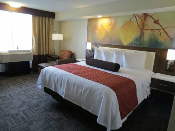 Best Western Premier Milwaukee-Brookfield Hotel & Suites - Photo2