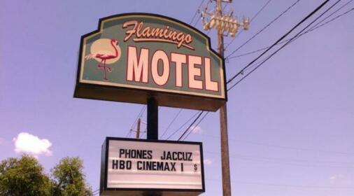 Flamingo Motel Brownsville
