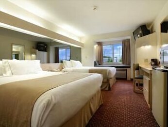 Microtel Inn & Suites by Wyndham Burlington - Photo4