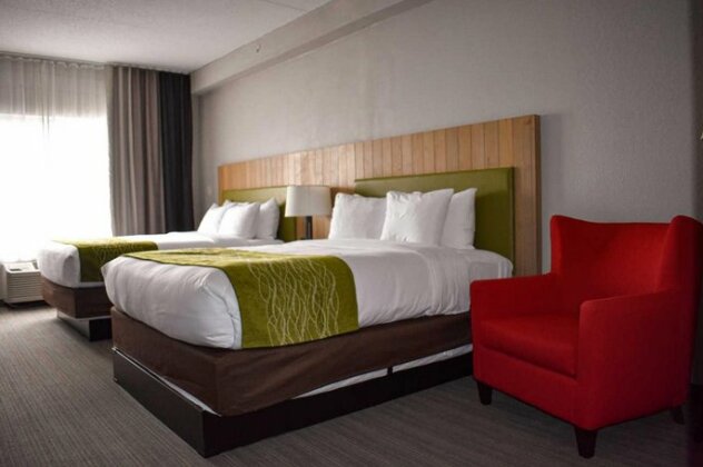 Comfort Inn & Suites Calhoun - Photo3